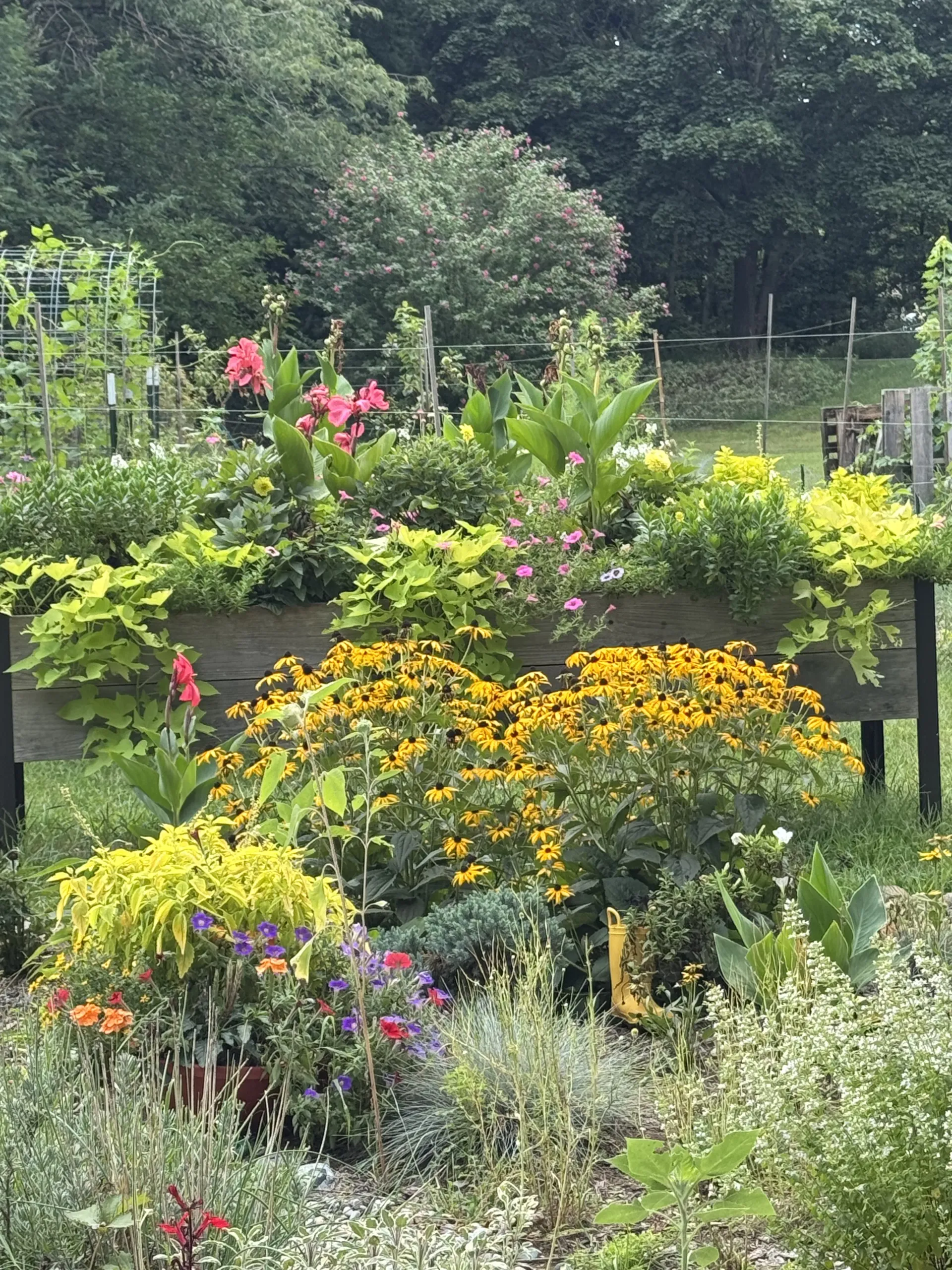 cover for Medicinal Herb Spiral Garden