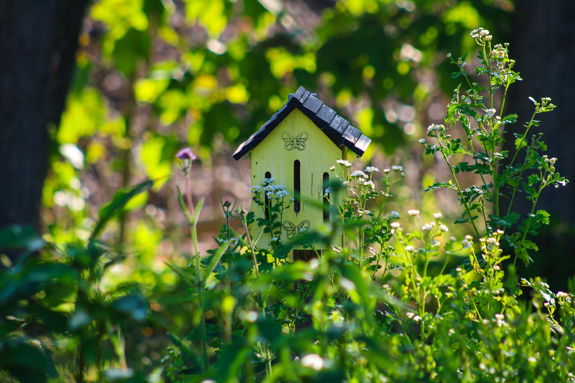 A small yellow birdhouse in a sunlit planting bed
