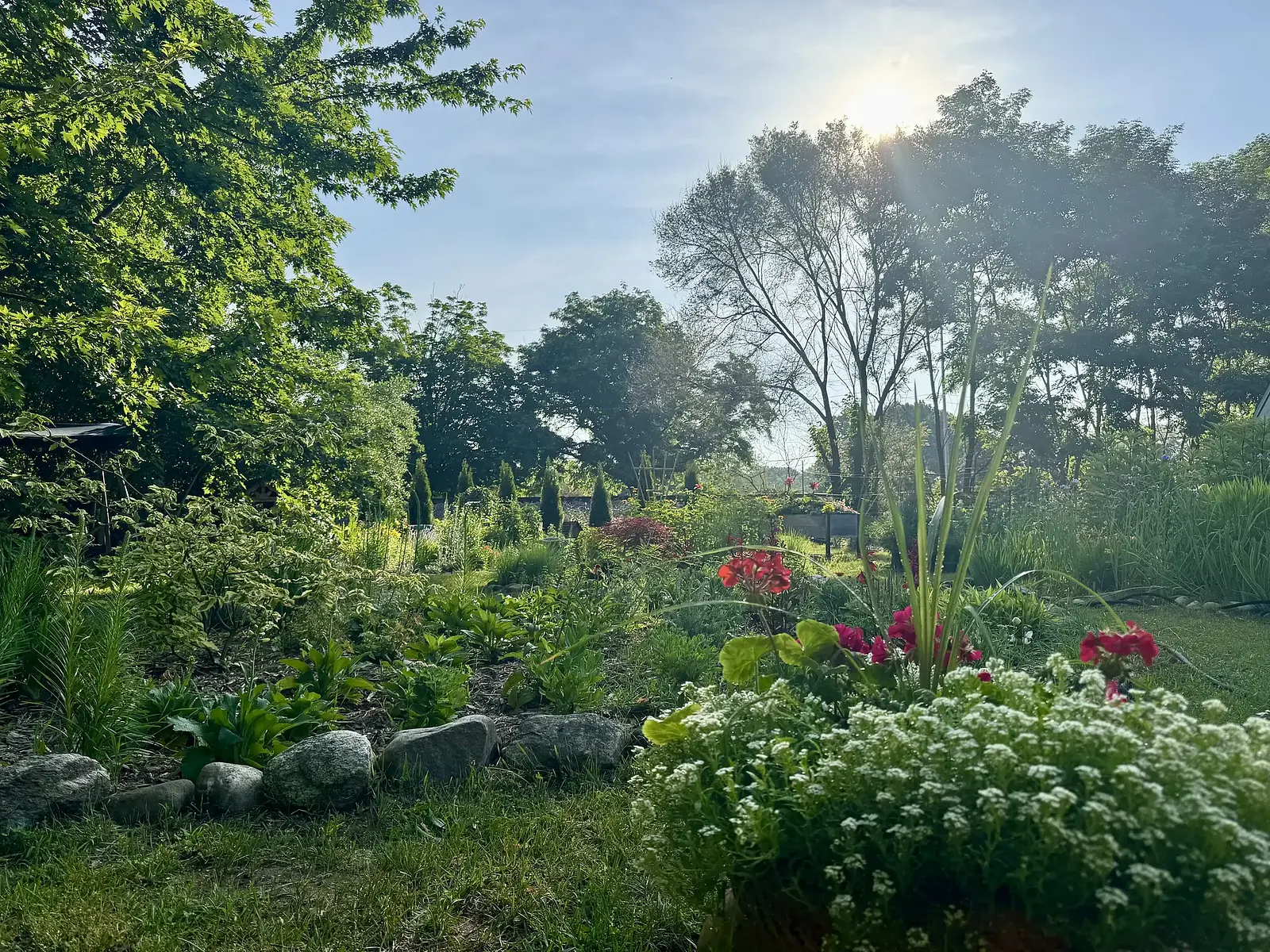 A sunlit garden of mixed perennials edged with stone