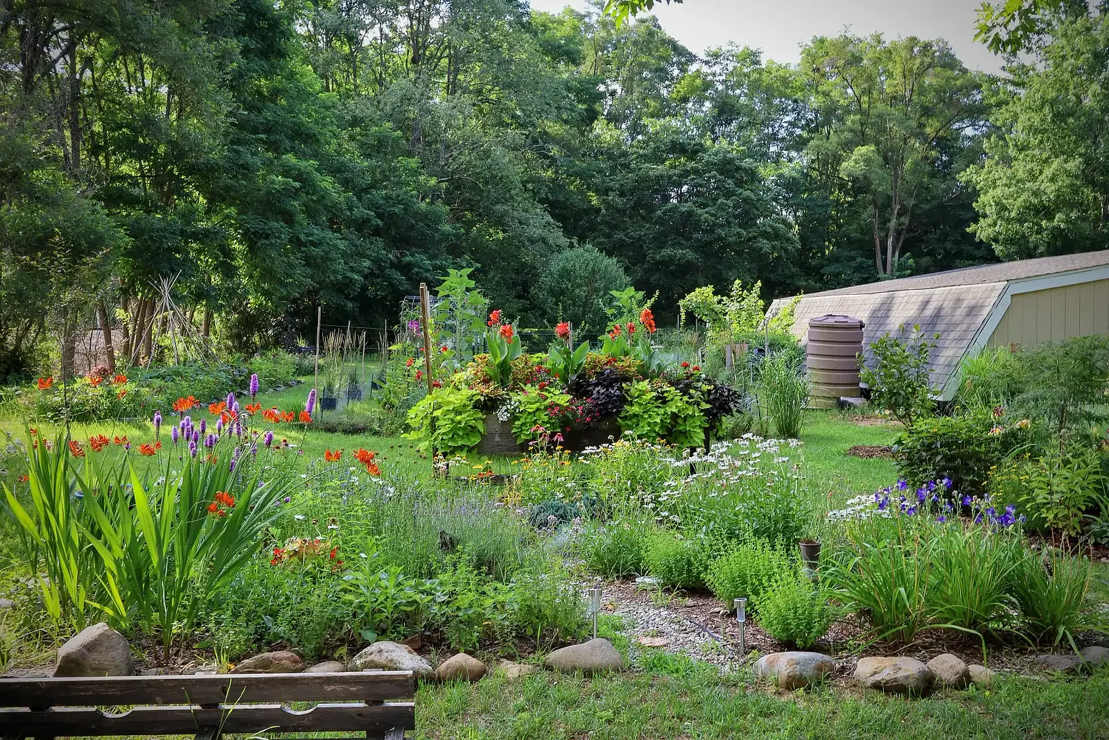 A long perennial border in full bloom along the edge of a backyard