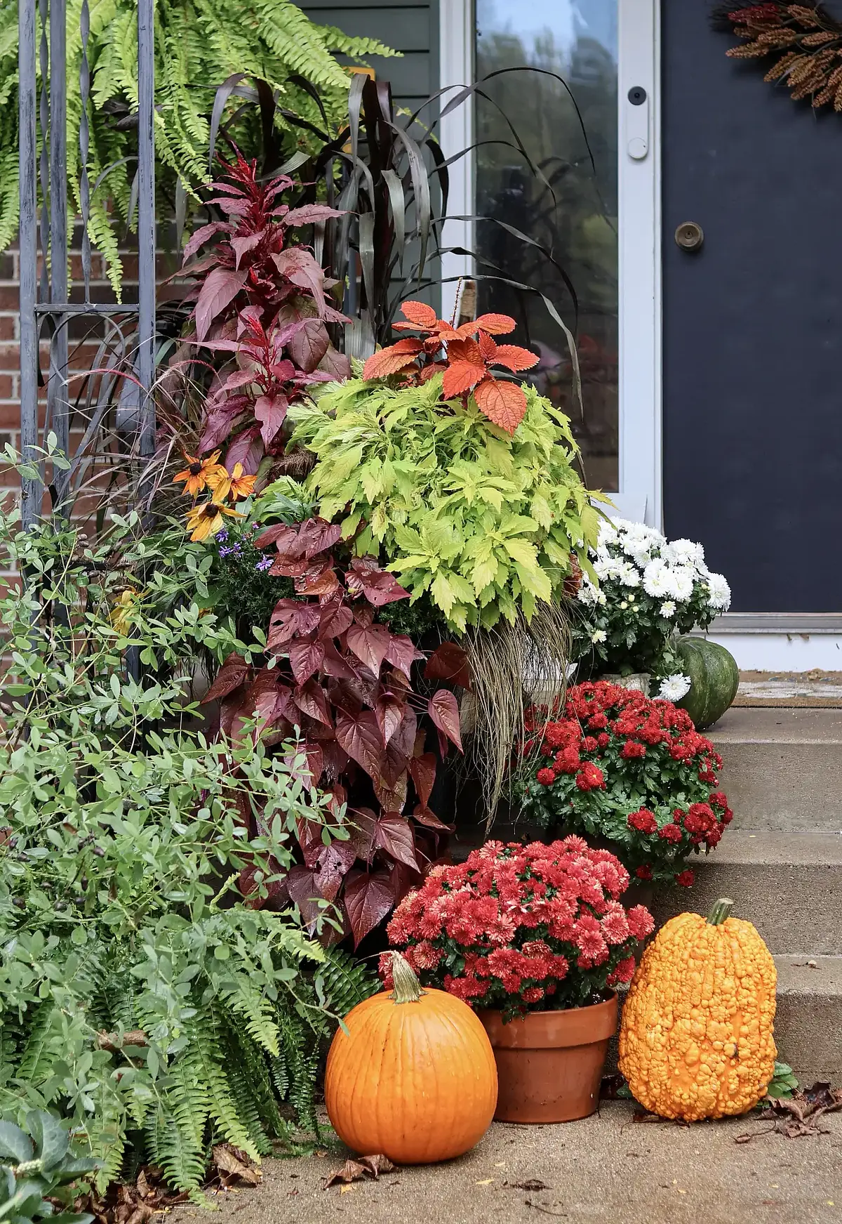 A front door framed by fall containers of coleus, mums, ferns and pumpkins